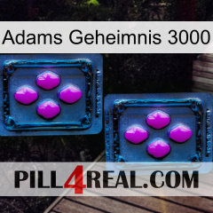 Adams Secret 3000 03